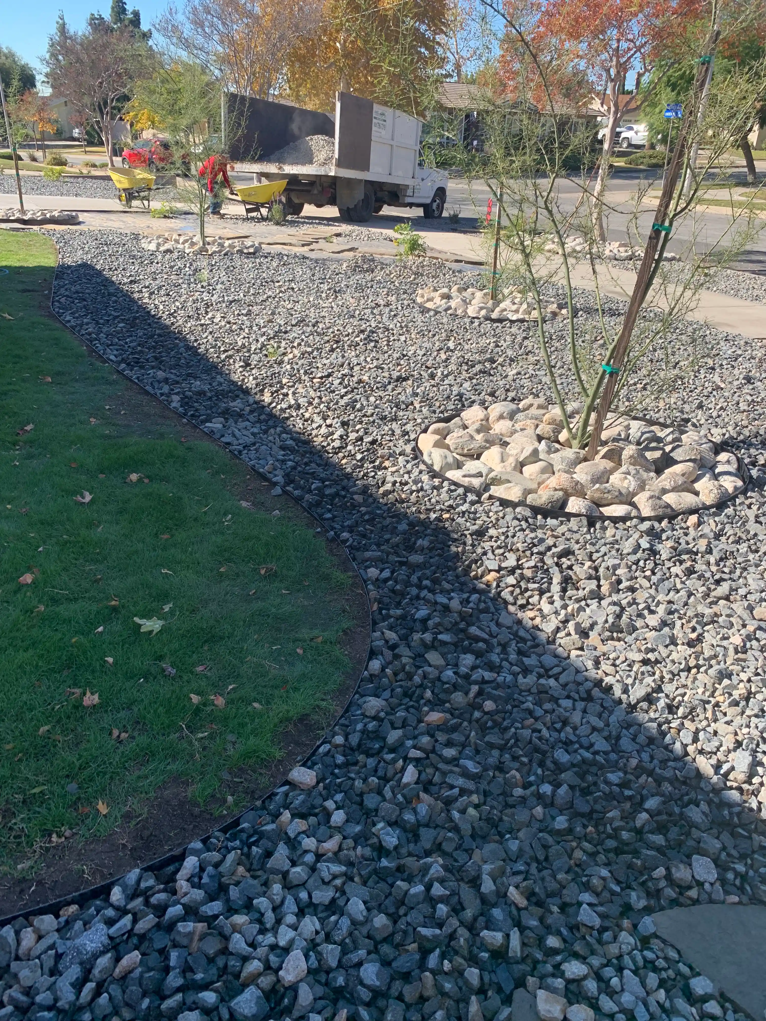 gravel-tree-1