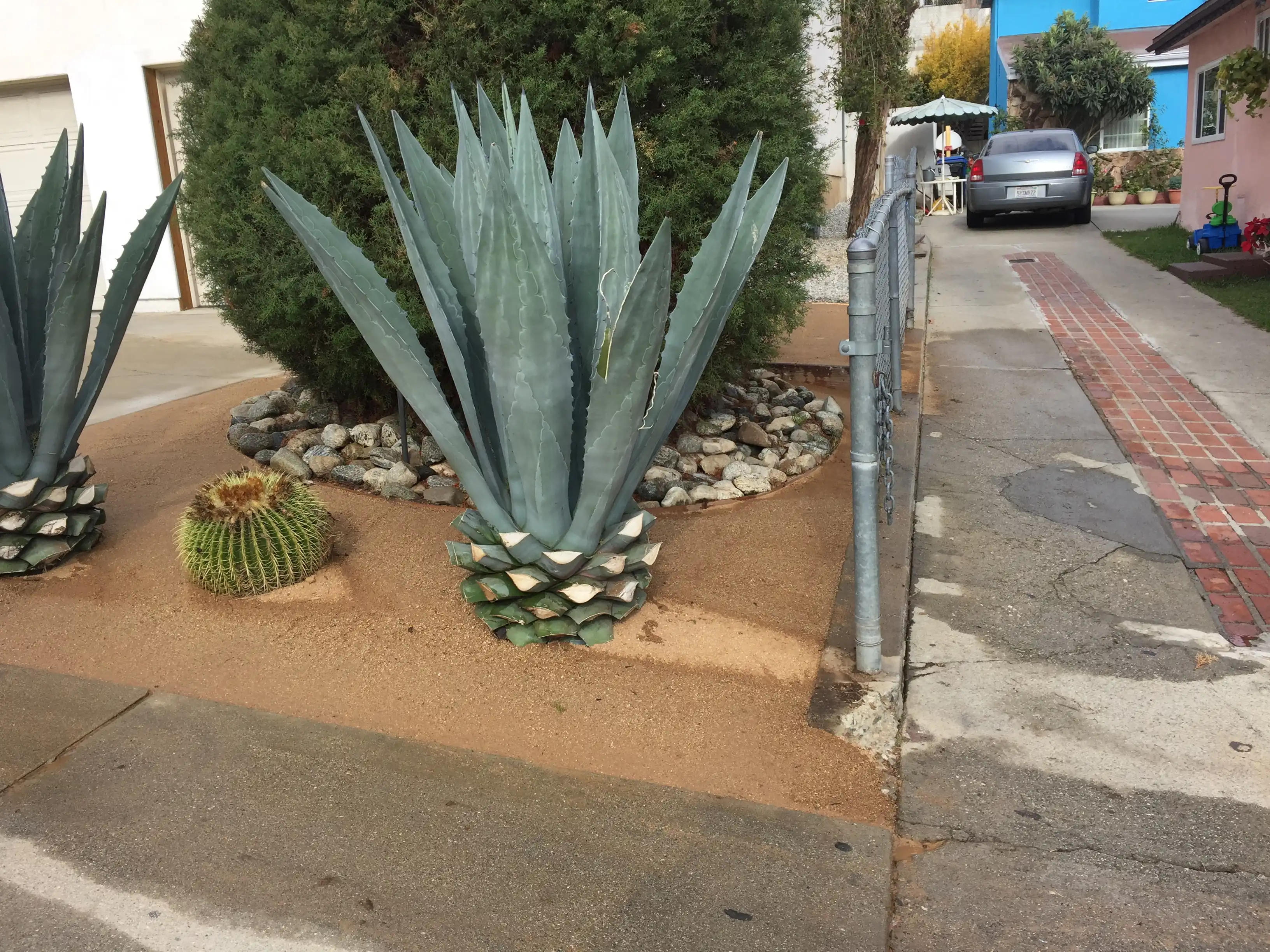 mulch2