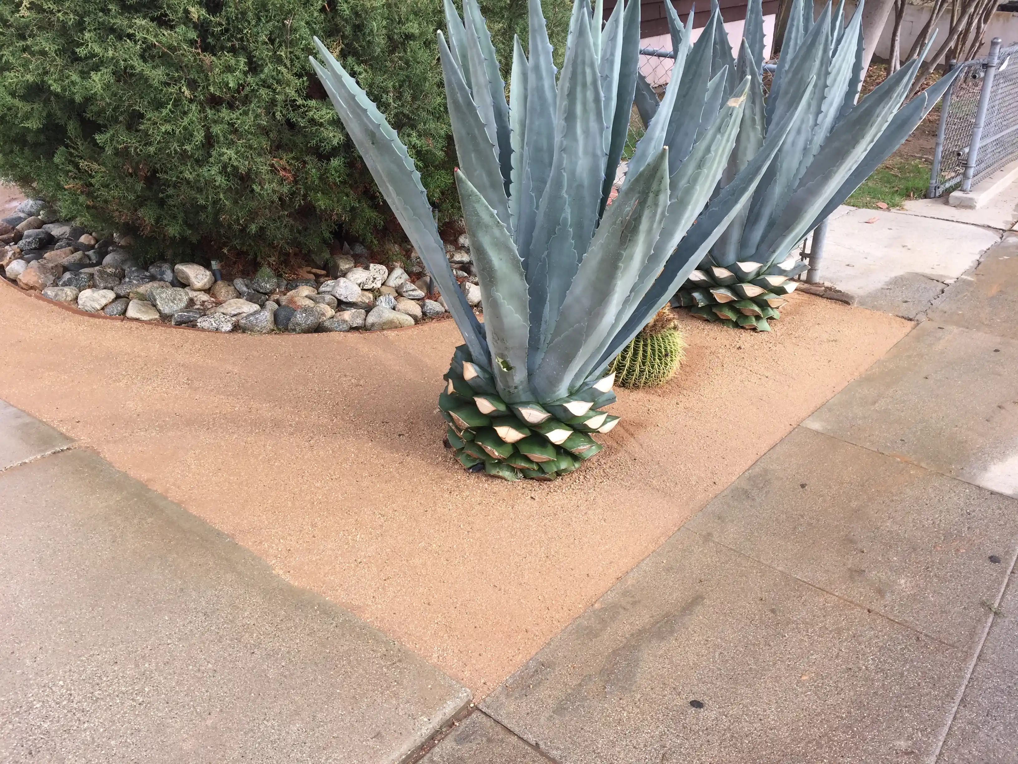 mulch3