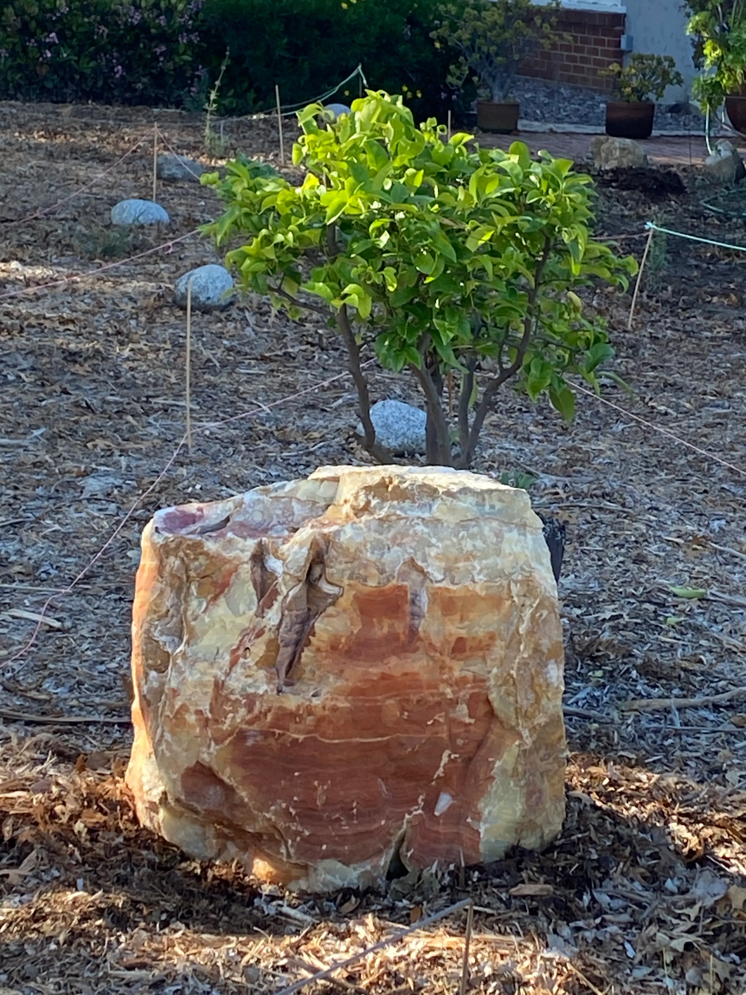 zboulder2